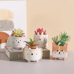 Boxy Animal Ceramic Succulent Planters