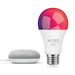 Google Nest Mini + Wyze Bundles