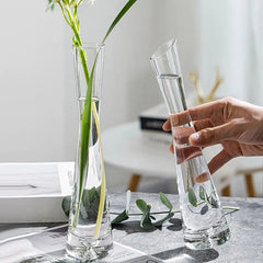 Transparent Small Glass Vase