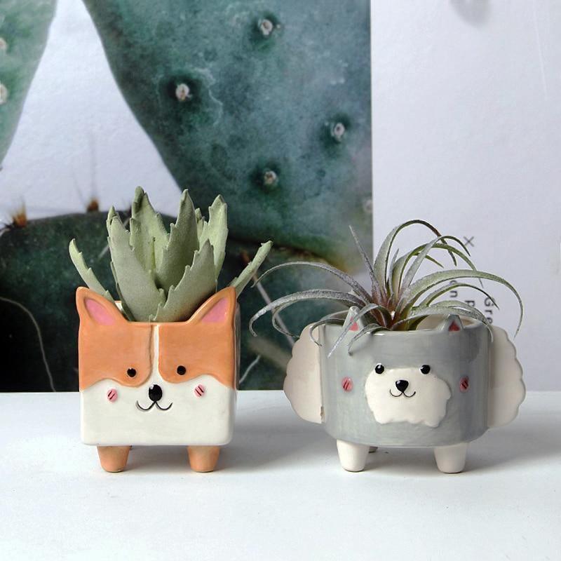 Boxy Animal Ceramic Succulent Planters