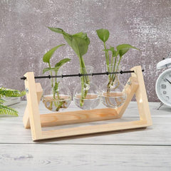 Glass Propagation Vase with A-Frame Wooden Stand