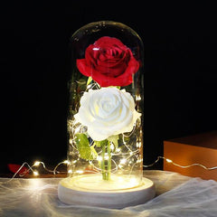 LED Eternal Flower Double Rose