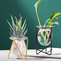 Glass Propagation Vase with Geometric Iron Stand