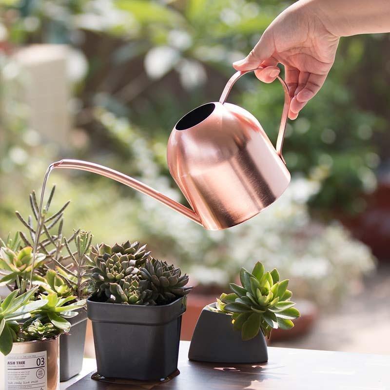 Gooseneck Dome Stainless Steel Watering Can